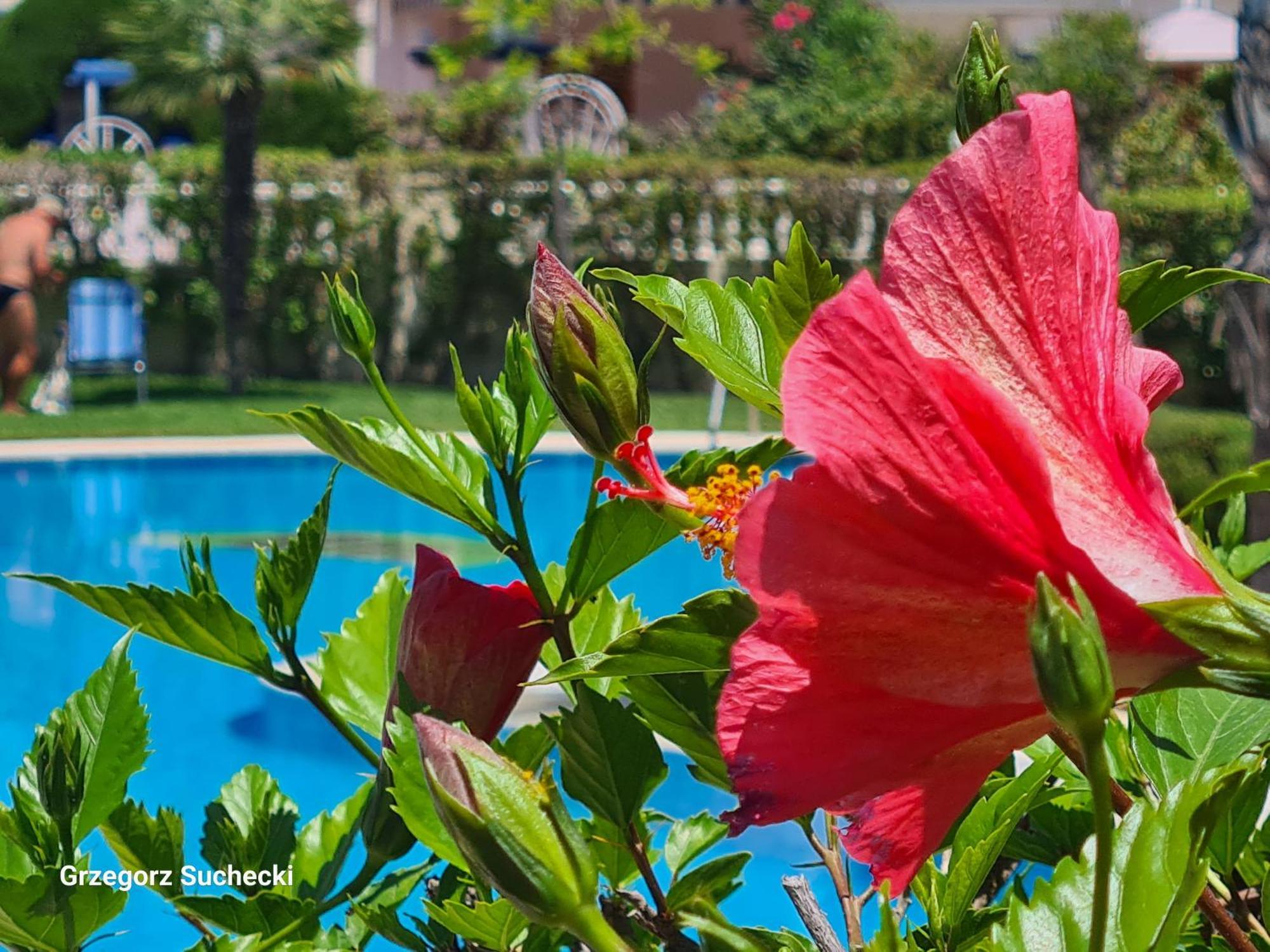 Apartamento Parquemar Appartement La Mata  Buitenkant foto