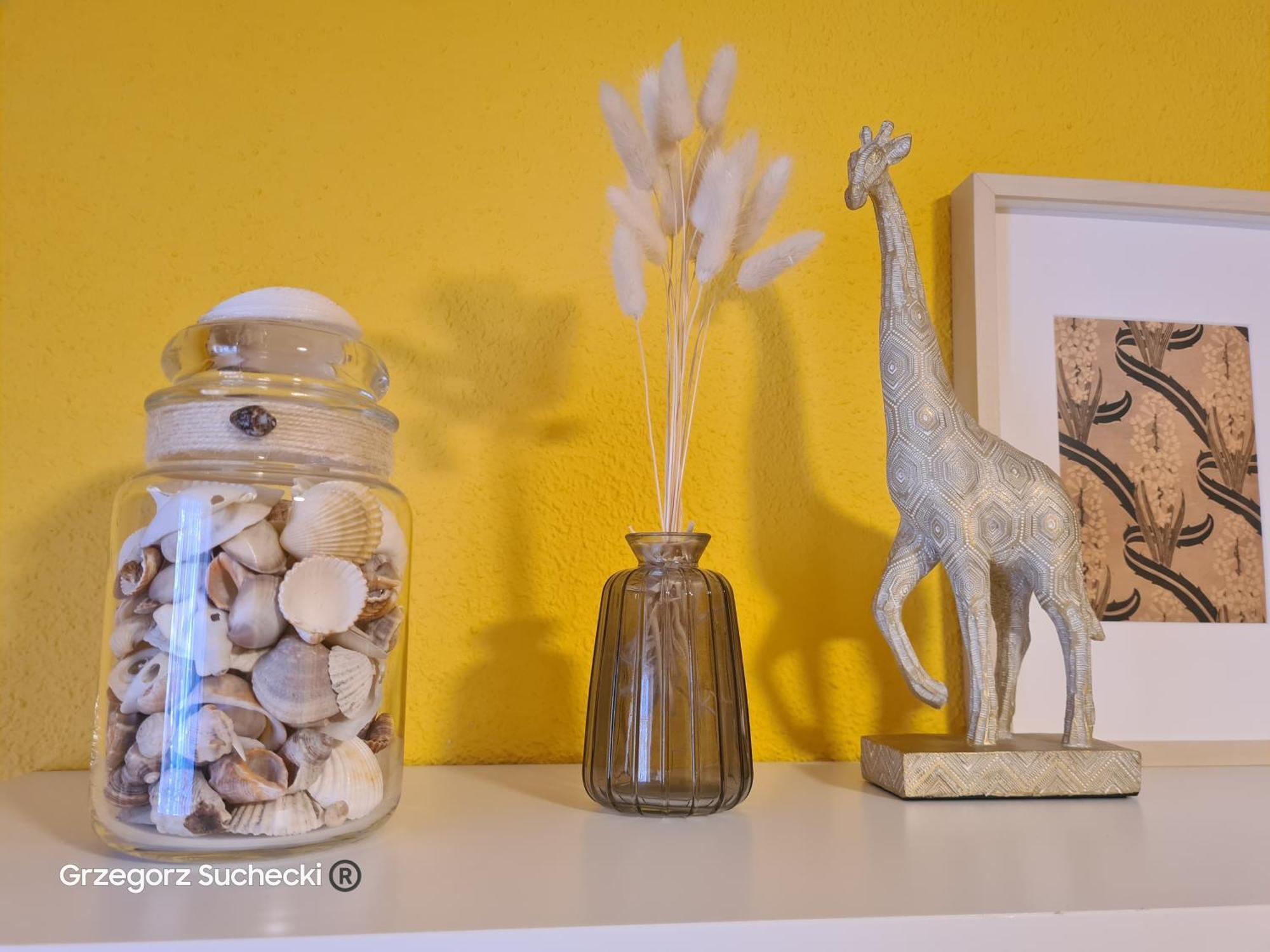 Apartamento Parquemar Appartement La Mata  Buitenkant foto